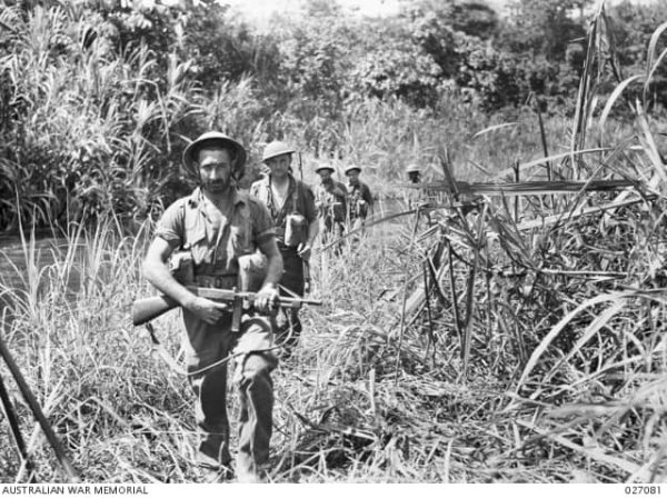 Men of the 2/31st Battalion negotiate a path through native cane on their way to Kokoda