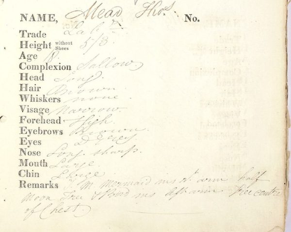 Figure 2 – Thomas Mead’s entry from Indents for male convicts on the Strathfieldsay 1831 showing personal detail such as hair colour, eye colour, age and type of Tattoo and where located on the body.