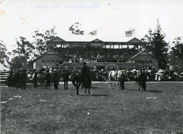 In the foreground is a man riding a horse. In the background is a pavilion with an audience viewing the proceedings.