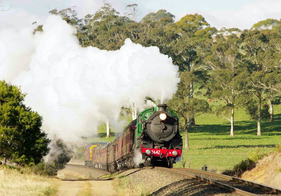 A steam train pulls its carriages along the railway line. Smoke billows from its chimney.