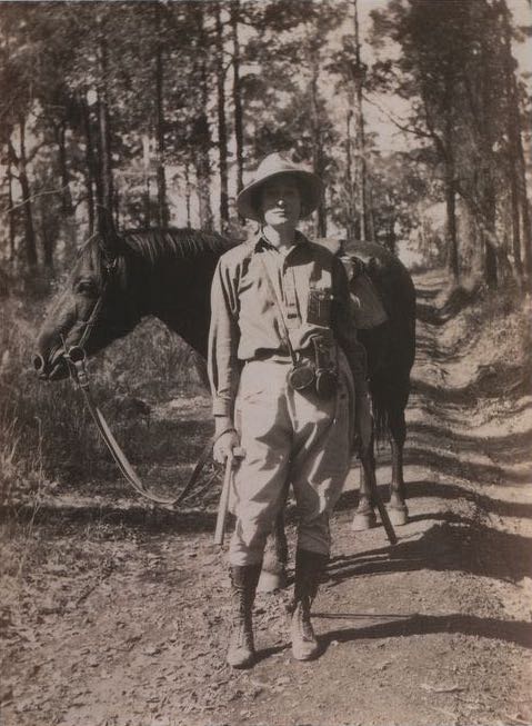 A portrait of Dorothy Hill who was an Australian geologist and palaeontologist, the first female professor at an Australian University, and Academy of Science.