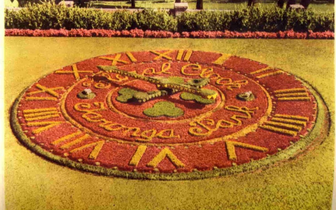 Taronga Park Zoo floral clock
