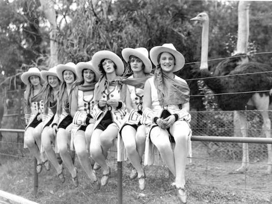A black and white photograph of seven women dressed as cowgirls sitting on a fence. An ostrich stands behind the fence.
