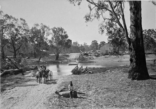 A black and white photograph of a horse-drawn cart crossing the Murray River. A man with a long beard sits on a log in the foreground.