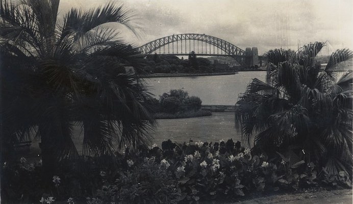 A postcard depicting the Farm Cove foreshore in the foreground. Palm trees and flowerbeds are visible. The Sydney Harbour Bridge is in the background.